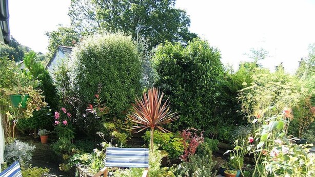 A garden with a wooden chair and a striped cushion, surrounded by various plants and a large bush. - Mosslea (Windermere)