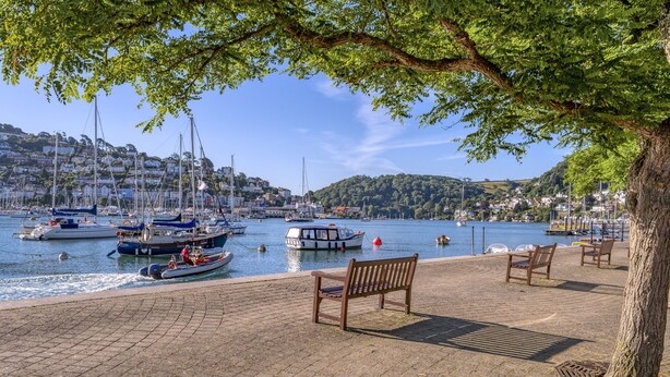 A waterfront promenade with benches, a tree, and boats docked along the shore. - George Cottage (Dartmouth)