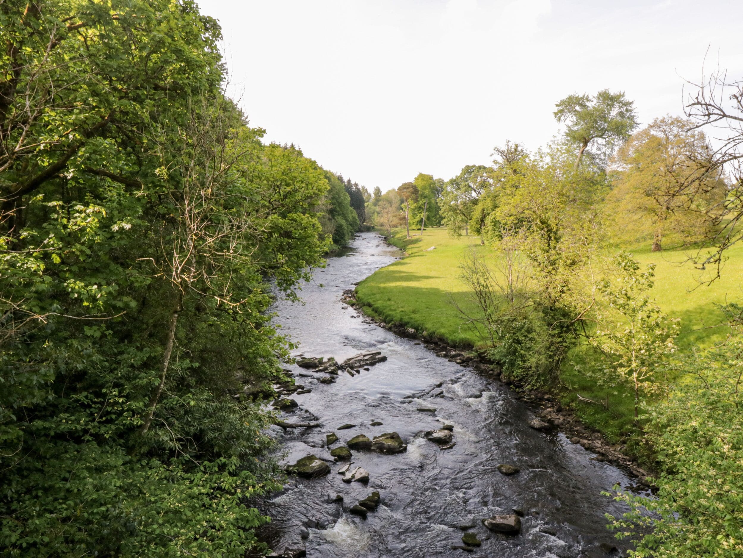 A river flowing through a lush green landscape with dense foliage on both sides.