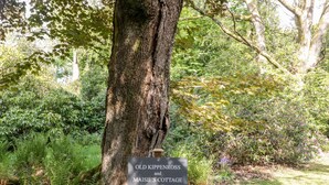 A sign for Old Kippenross and Maisie's Cottage pointing to the right. - Maisie's Cottage (Dunblane)