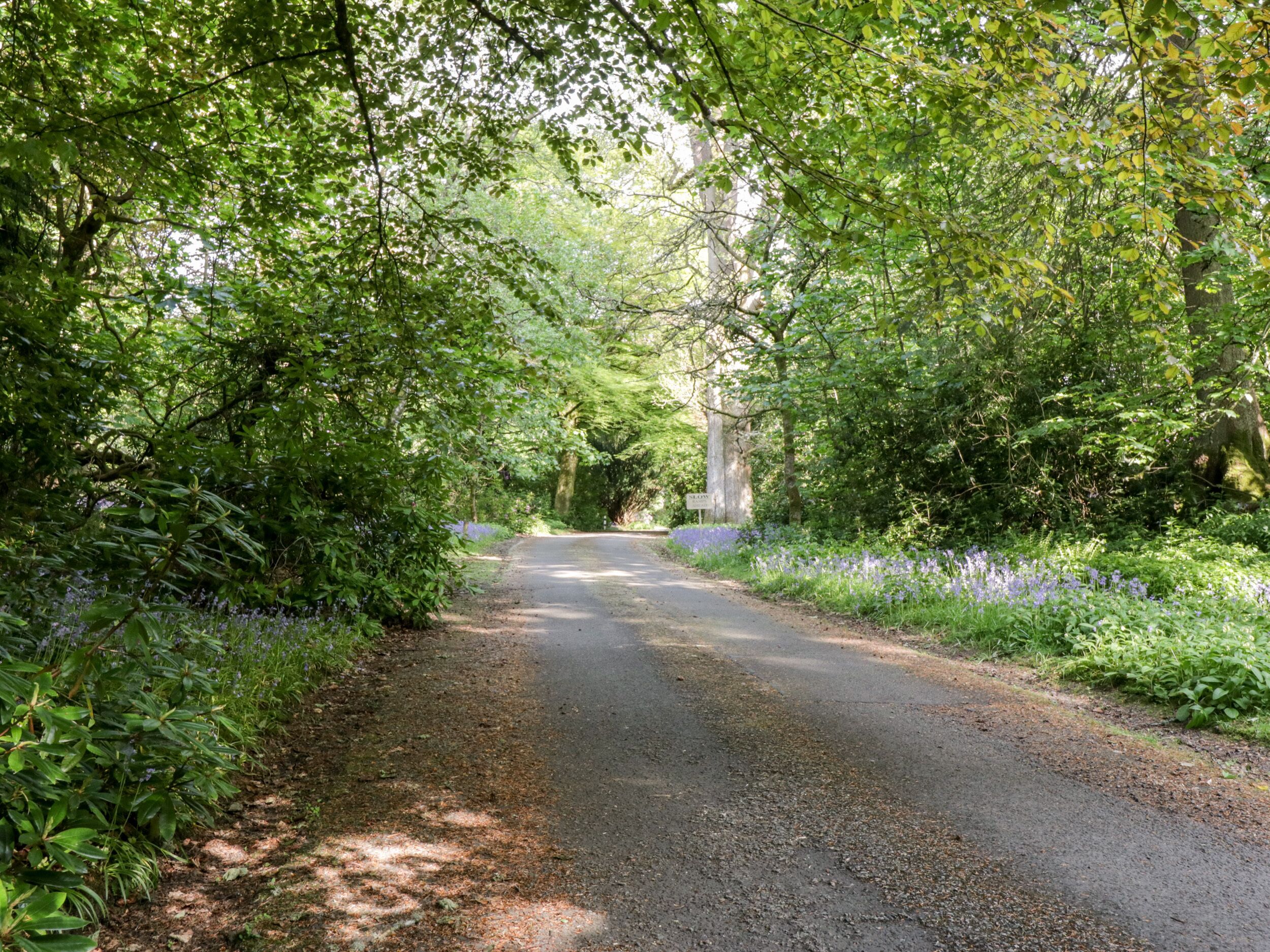 A narrow, tree-lined road with a signpost in the distance.