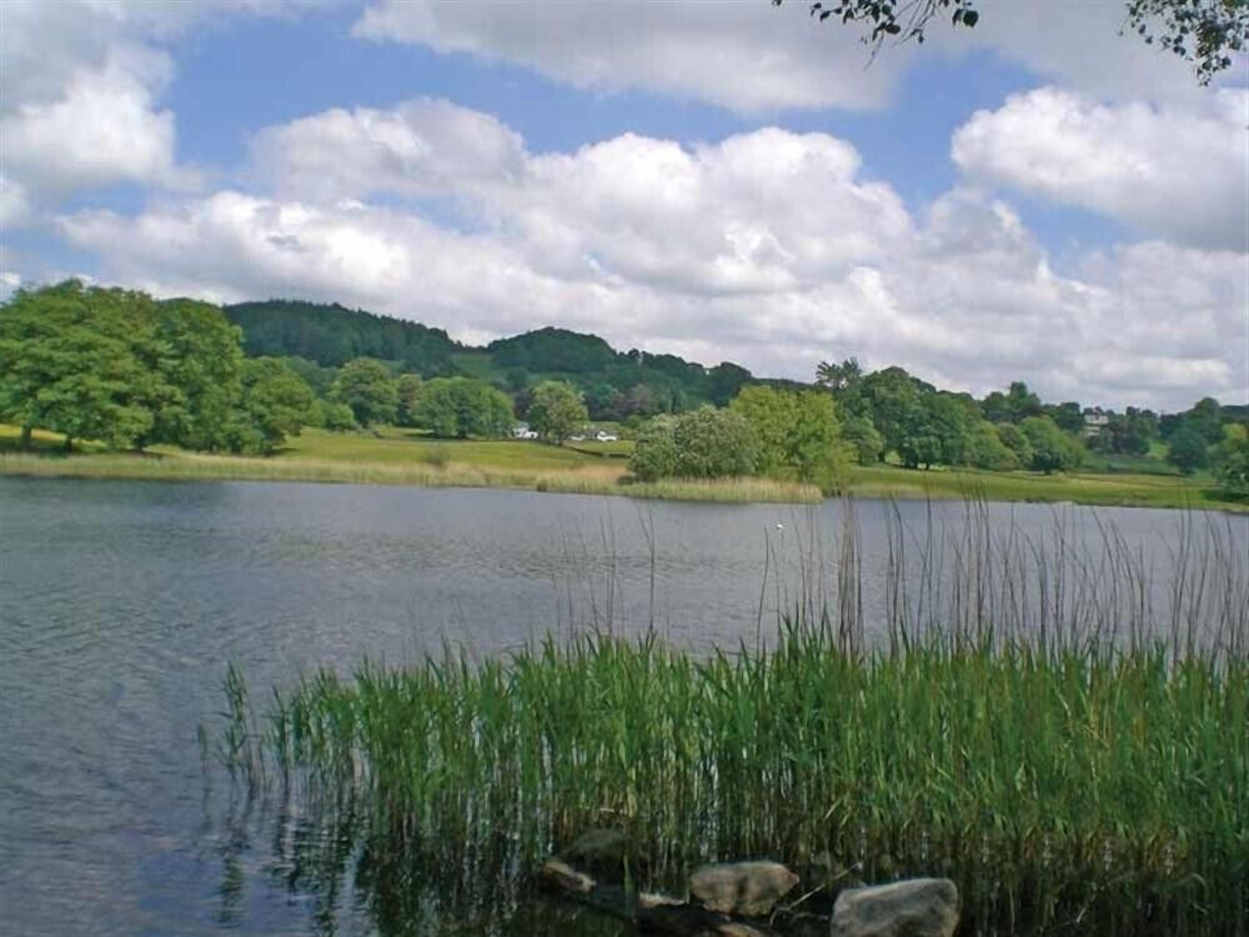 A calm lake with surrounding greenery and a cloudy sky.
