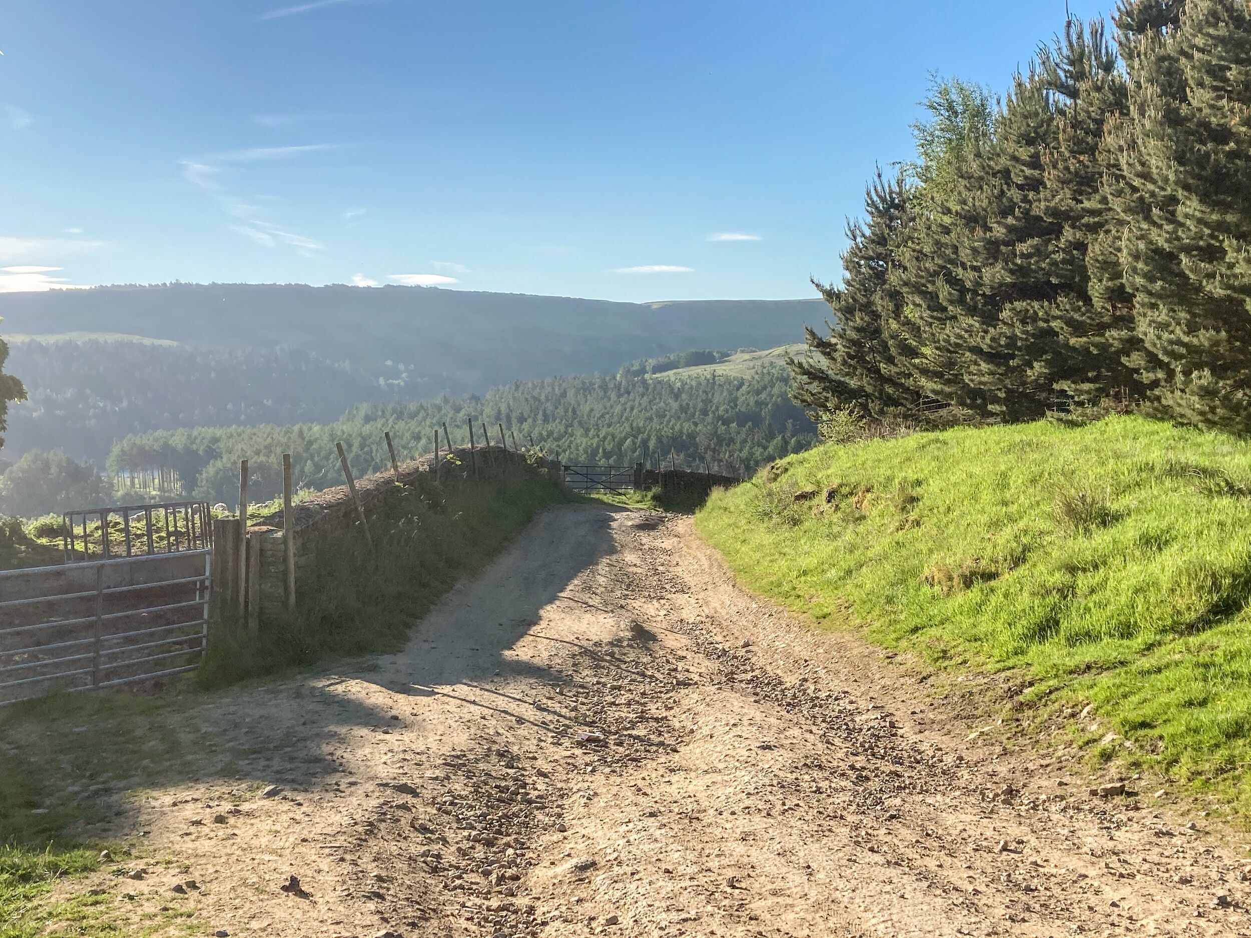 A dirt path leading through a rural landscape with a fence on one side and a dense forest on the other.