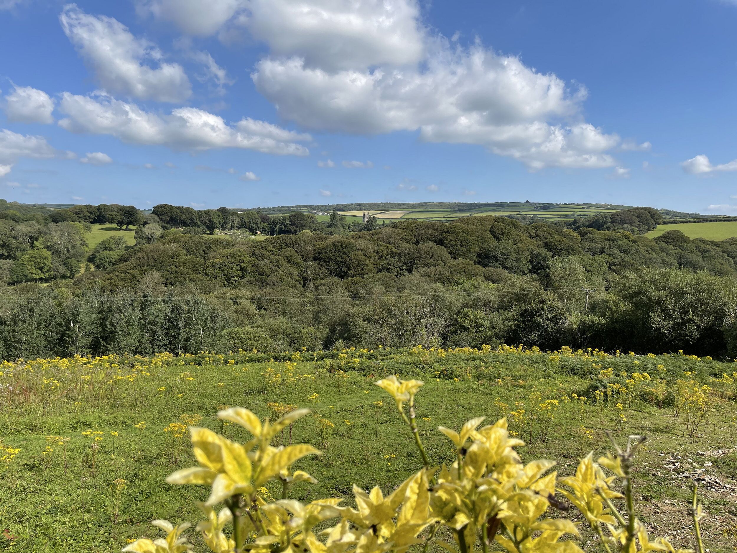 A rural landscape with rolling hills, dense forests, and a clear blue sky with scattered clouds.