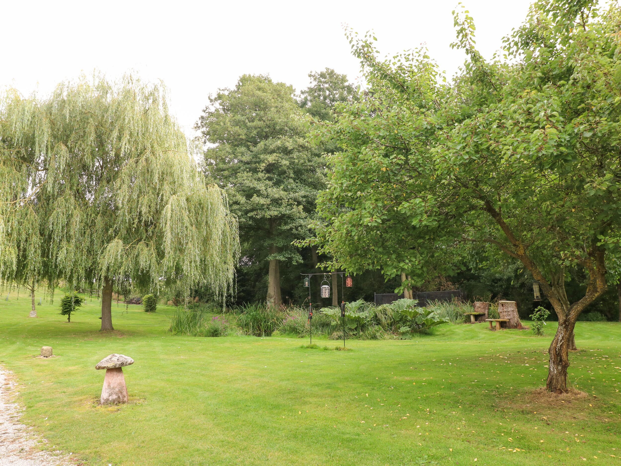 A serene garden with a stone mushroom sculpture, lush greenery, and a variety of trees including a weeping willow.