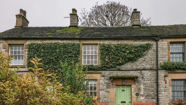 A stone house with ivy-covered walls, a green door, and two wooden benches in the front yard. - 3 Old Hall Cottages (Bakewell)
