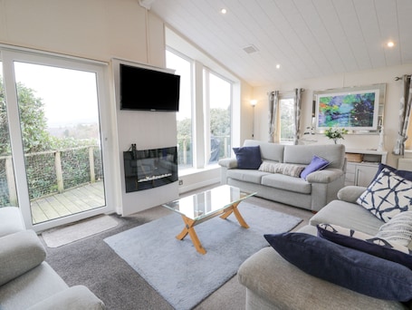 コテージ | リビング エリア | テレビ