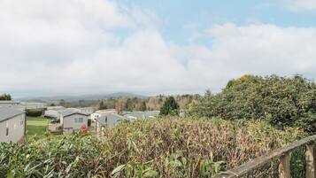 Zona residencial con casas y un seto frondoso en primer plano.