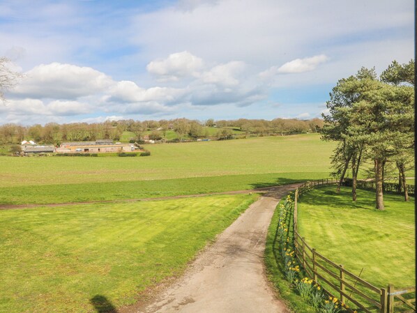 A rural landscape with a dirt path, green fields, and a building in the distance.