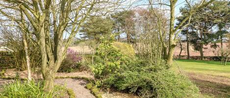 A gravel path in a garden with trees and shrubs.