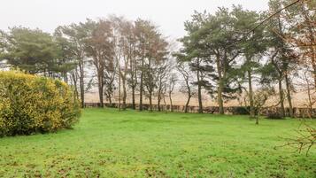 Cottage | Property grounds