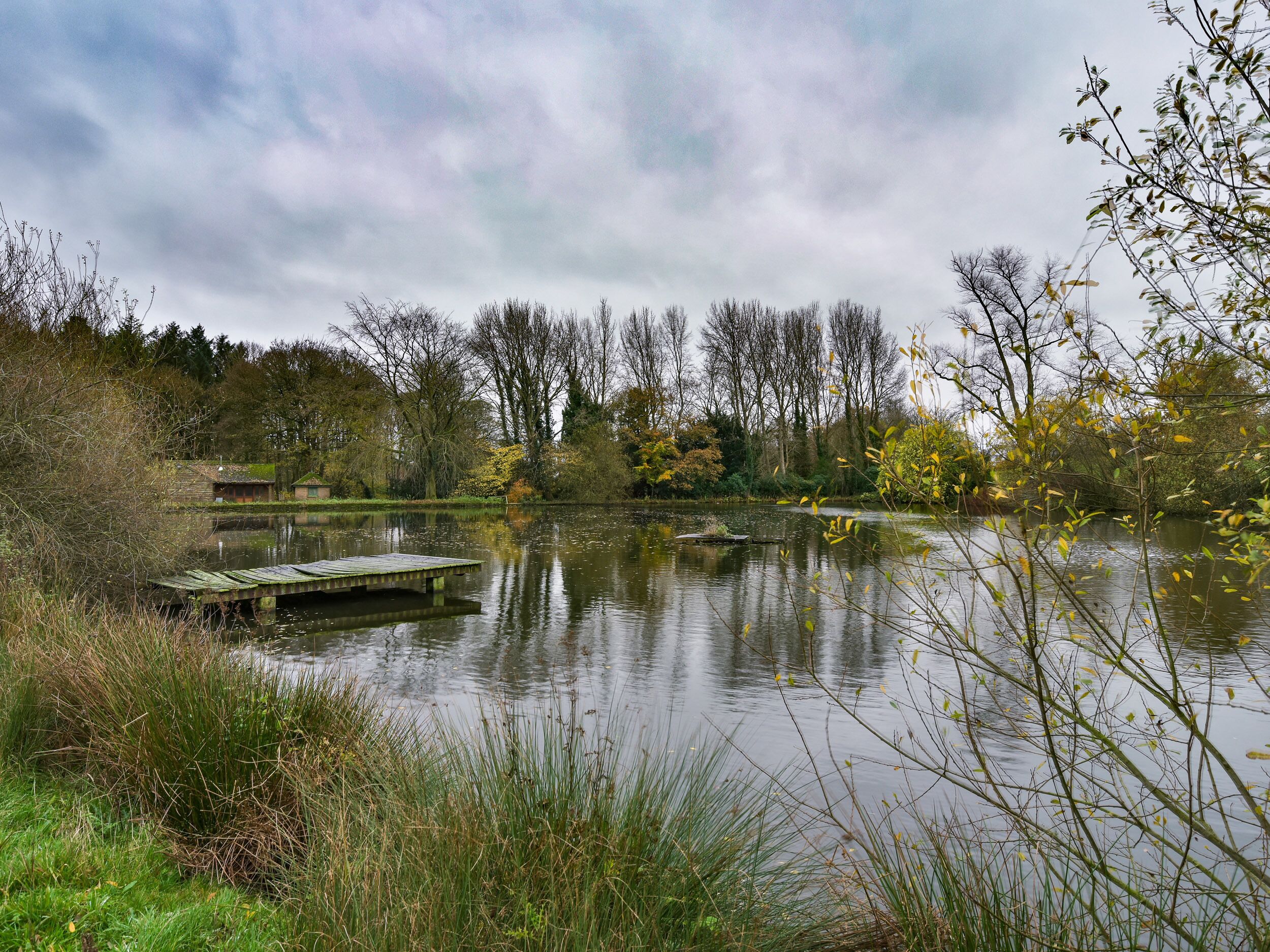 A calm lake with a wooden dock, surrounded by trees and vegetation.