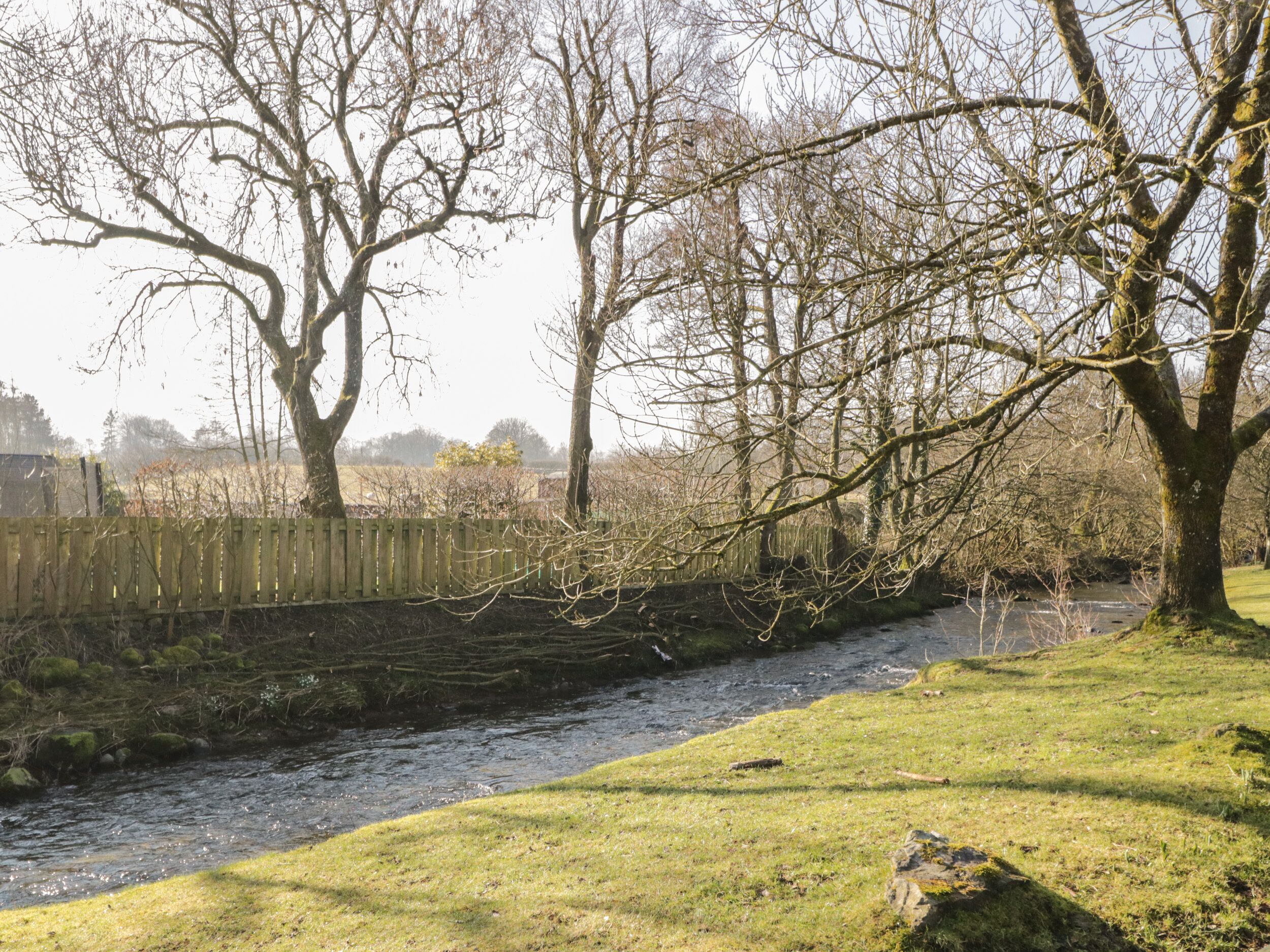 A river flowing through a grassy area with trees and a wooden fence in the background.