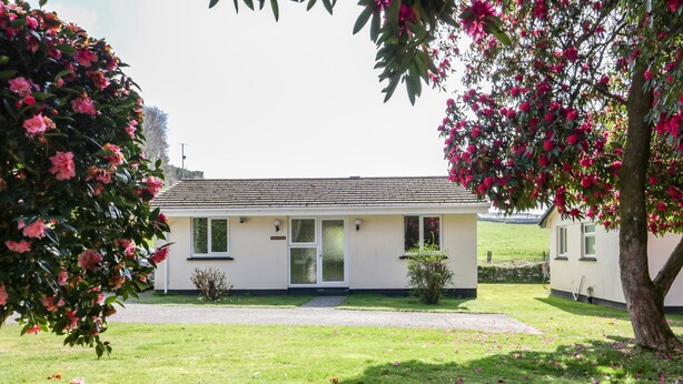 Une maison de plain-pied à l’extérieur blanc, dotée d’un porche à l’avant et d’une pelouse parsemée de fleurs.