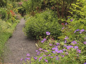 Un sendero de grava rodeado de abundante vegetación y flores moradas.