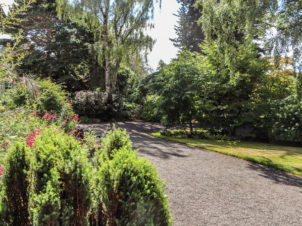A gravel pathway surrounded by dense greenery and trees. - Branklyn Garden Cottage (Perth)