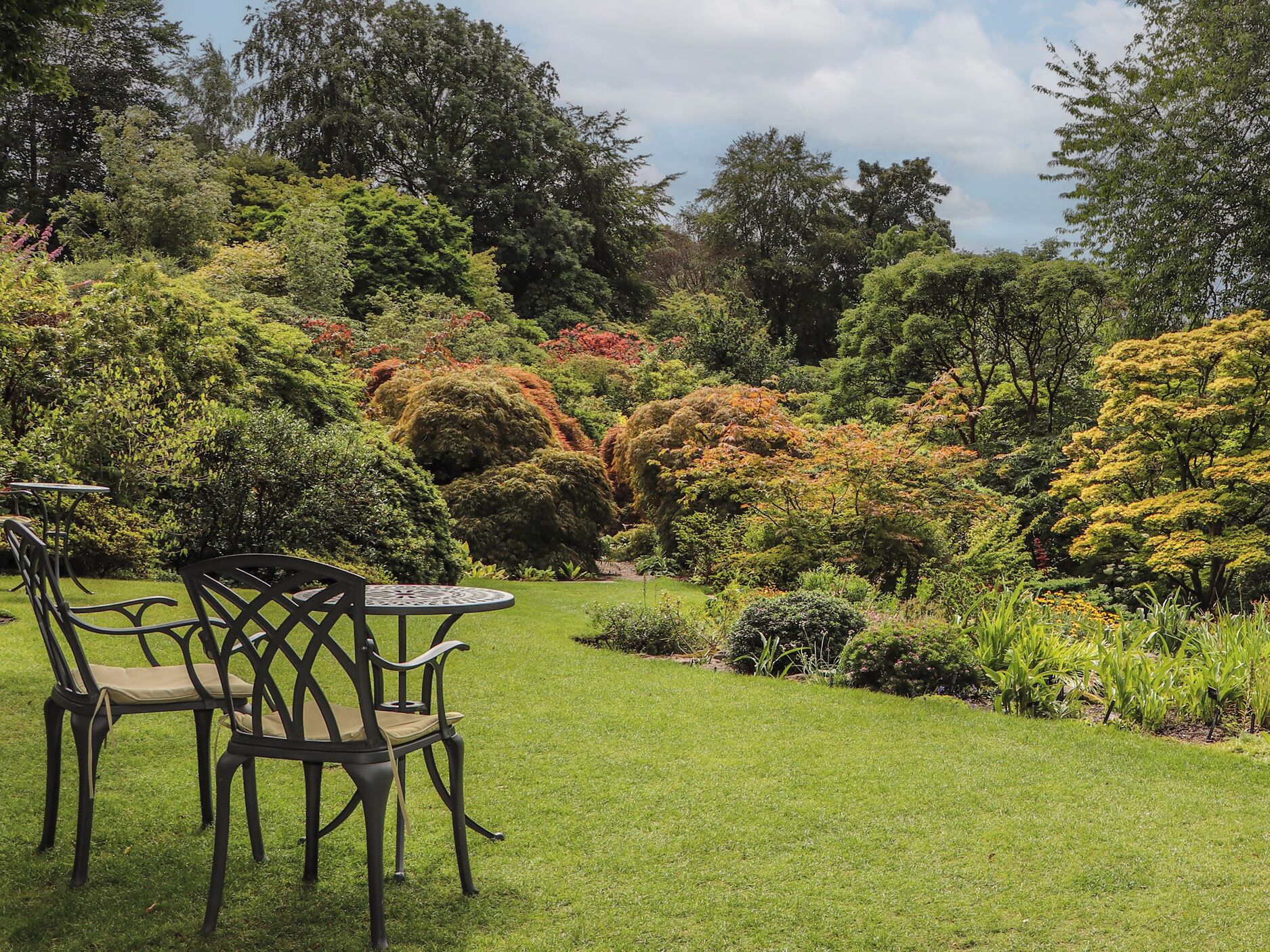A garden with a table and chairs, surrounded by various trees and shrubs.