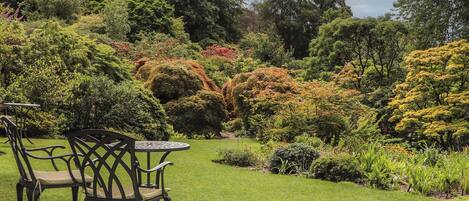 A garden with a table and chairs, surrounded by various trees and shrubs.