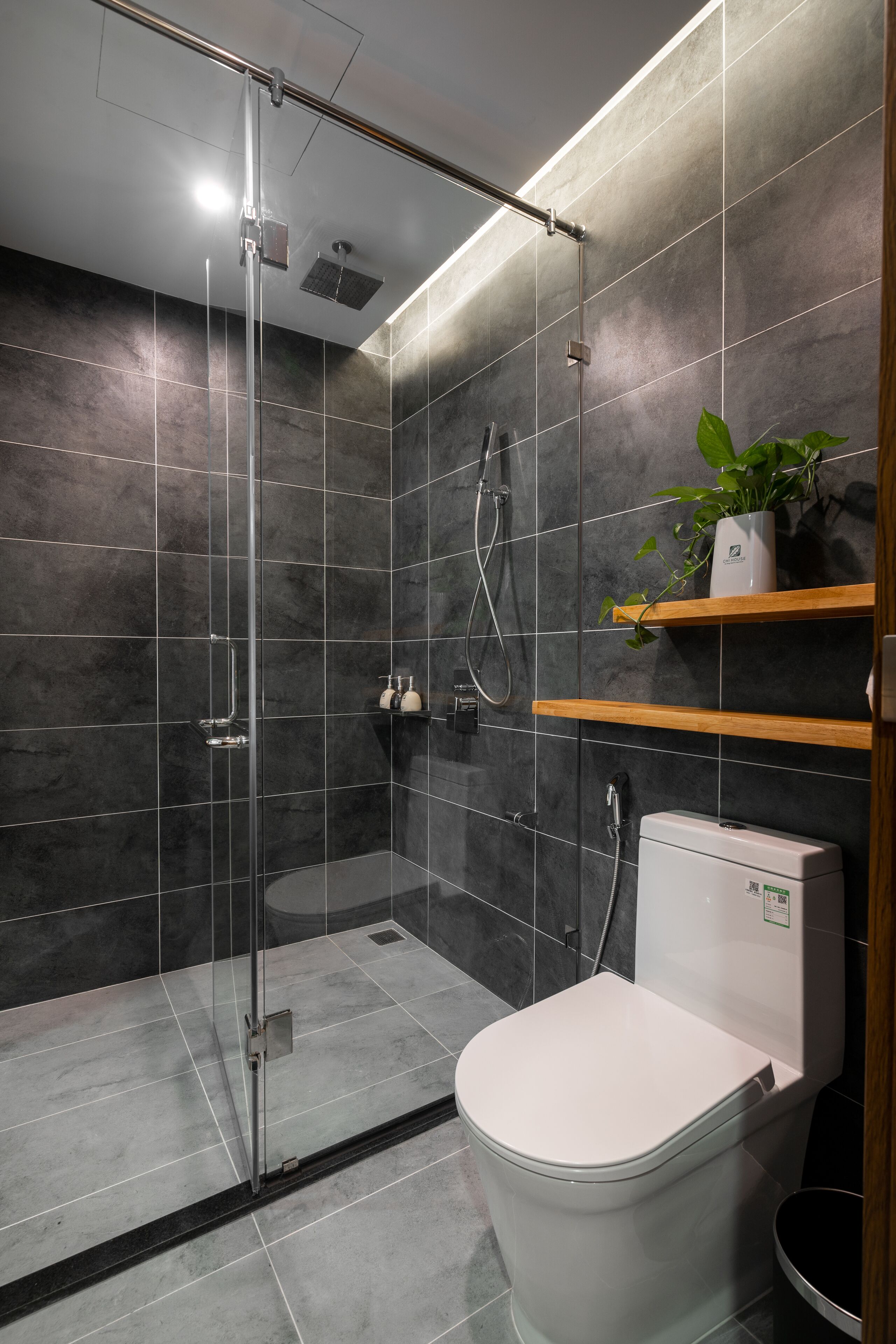 Ein modernes Badezimmer mit einer Glaskabine zur Dusche, einer weißen Toilette und einem Regal mit einer Topfpflanze.