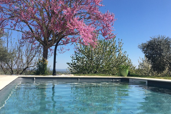 Outdoor pool, a heated pool, sun loungers
