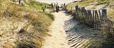 In Strandnähe, Liegestühle