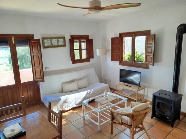 Smart-tv, eldstad, ett bordtennisbord och böcker