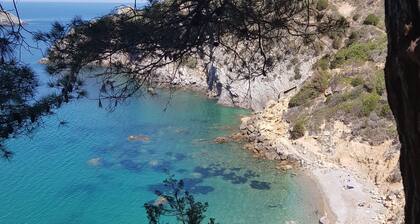 Apartment Ginestra in the heart of Maremma