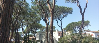 Semi-detached villa with garden