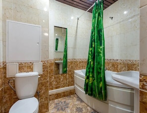 Bathroom features a toilet, sink, and bathtub, with a shower curtain and mirror.