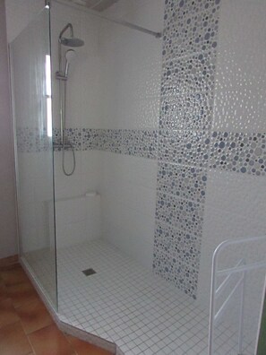 Shower, hair dryer