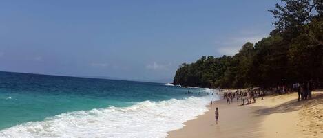 A beach with clear blue water, sandy shore, and a forested area.
