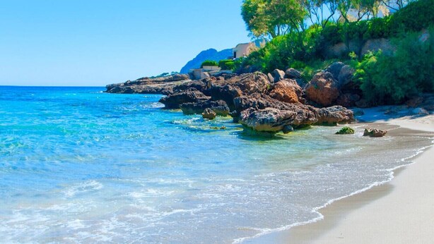 A beach with clear blue water, rocky outcrops, and lush greenery. - Ca Na Blanca (Alcúdia)