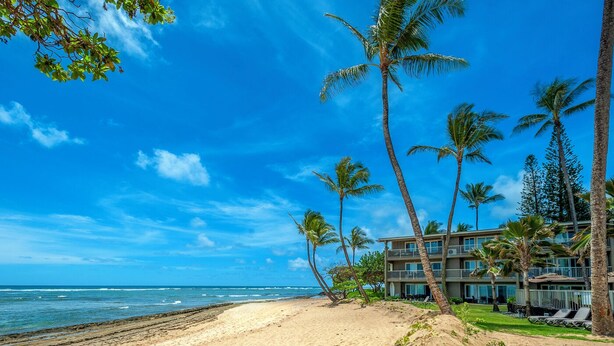A beach with palm trees and a hotel in the background. - Enjoy A/C, walk to beach/dining/shopping, from the Heart of Kapa'a! (Kapaa)
