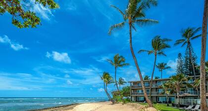 Enjoy A/C, walk to beach/dining/shopping, from the Heart of Kapa'a!