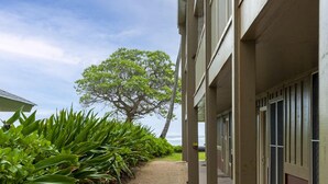 A pathway leading to a building with a tree in the background. - Enjoy A/C, walk to beach/dining/shopping, from the Heart of Kapa'a! (Kapaa)