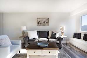 TV, fireplace, offices