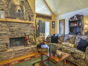 TV, fireplace, books
