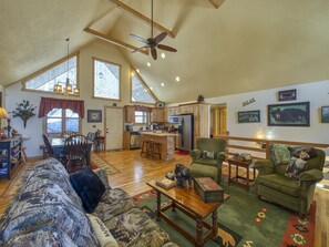 TV, fireplace, books