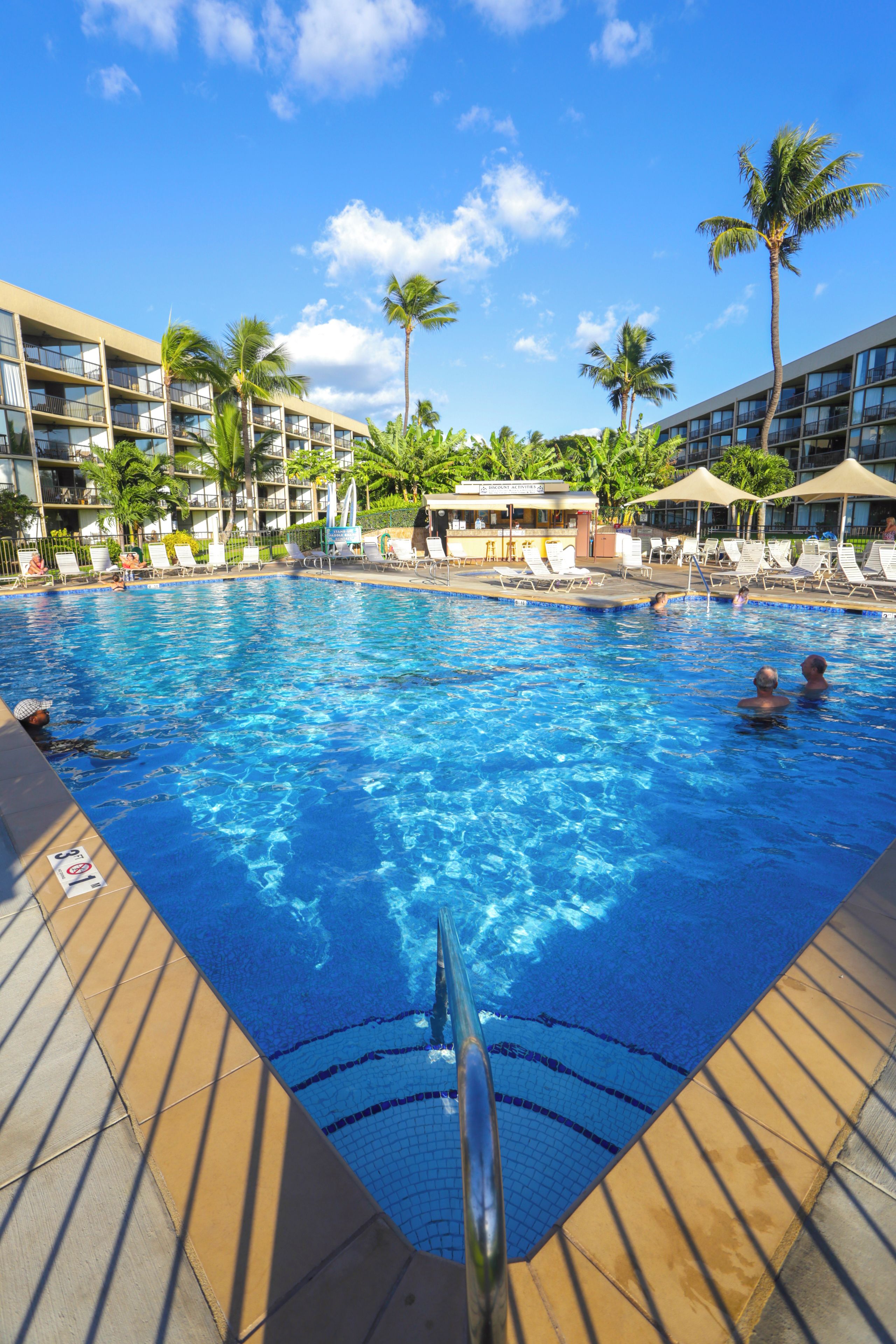Une piscine à l’eau d’un bleu cristallin, entourée de chaises longues et de palmiers.