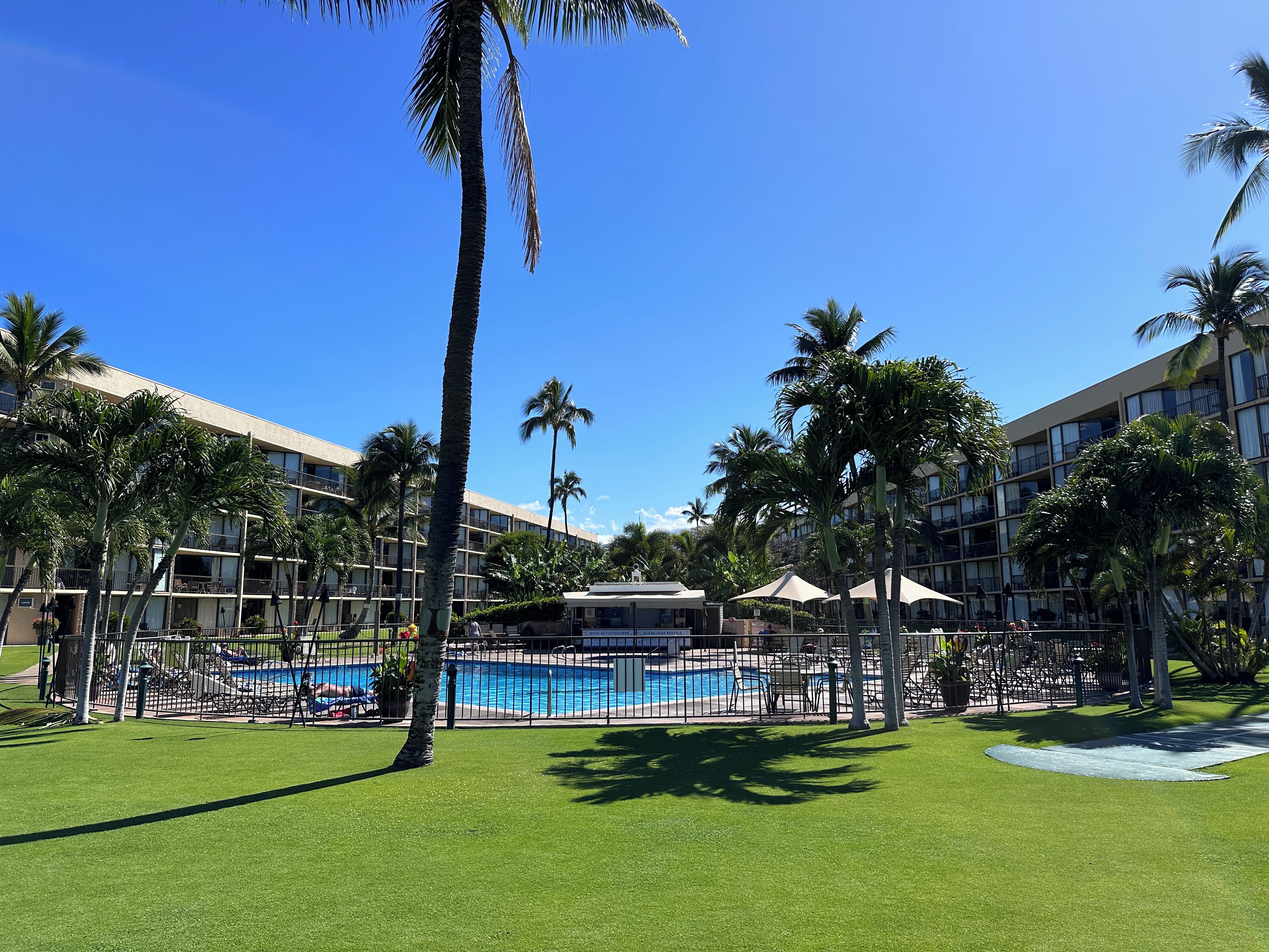 Un resort con piscina, palmeras y un edificio con balcones.