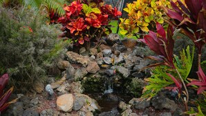 A garden with a small waterfall, tropical plants, and a rocky area. - Where Serenity Finds You Kihei Remodeled 1BR Condo Private Lanai and Pool (Kihei)