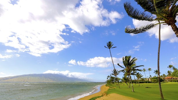 A beach with a clear sky, palm trees, and a view of the ocean. - Where Serenity Finds You Kihei Remodeled 1BR Condo Private Lanai and Pool (Kihei)