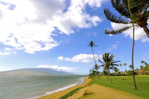 A beach with a clear sky, palm trees, and a view of the ocean.
