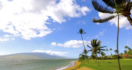 Gorgeous REMODEL Spacious 1 Bedroom 2 Bathroom