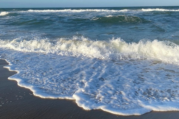 Chaises longues, serviettes de plage