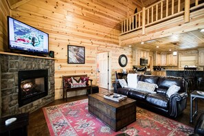 Télévision, cheminée, lecteur de DVD