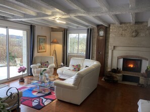 Een televisie, een open haard, een tafeltennistafel en boeken