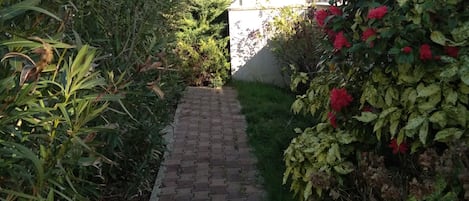 Asfaltoitu polku johtaa rakennukseen, jonka katto on päällystetty tiilillä.