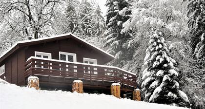 Chalet Entre lac et Montagne