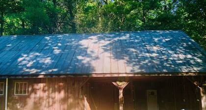 The Junebug Studio